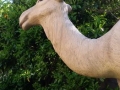 Dromadaire chameau animaux en résine classique  004
