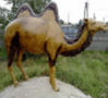 Dromadaire chameau animaux en résine classique  005