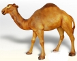 Dromadaire chameau animaux en résine classique  014
