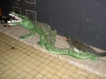Crocodile animaux en résine classique  034