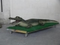 Crocodile animaux en résine classique  040