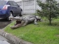 Crocodile animaux en résine classique  052