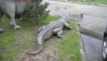 Crocodile animaux en résine classique  049