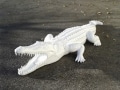 crocodile en résine design 009