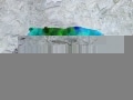Hippo   en resine design