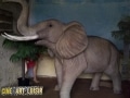 Eléphant animaux en résine classique  097