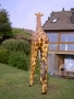Girafe animaux en résine classique  098