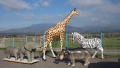 Girafe animaux en résine classique  099