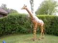 Girafe animaux en résine classique  129
