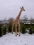 Girafe animaux en résine classique  132