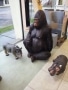 Gorille animaux en résine classique  136