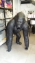 Gorille animaux en résine classique  138
