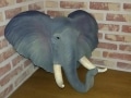 tete d'elephant en résine classique 023