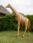 girafe en résine classique 010
