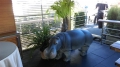 hippopotame en résine classique 012