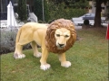 lion en resine classique 004