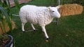 mouton  en résine classique     002