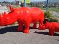 rhinocéros en résine design 009