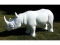 rhinocéros en résine design 010