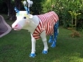 vache en résine  FR26 maillotdesign 067