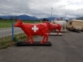 vache en résine L6 drapeau suisse  design 033