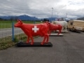 vache en résine L6 drapeau suisse  design 033