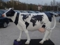 vache en résine L6 mapmonde design 128