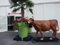 vache  en résine classique   009