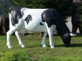 vache  en résine classique   011