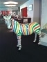 zebre en résine design rayures multicolore