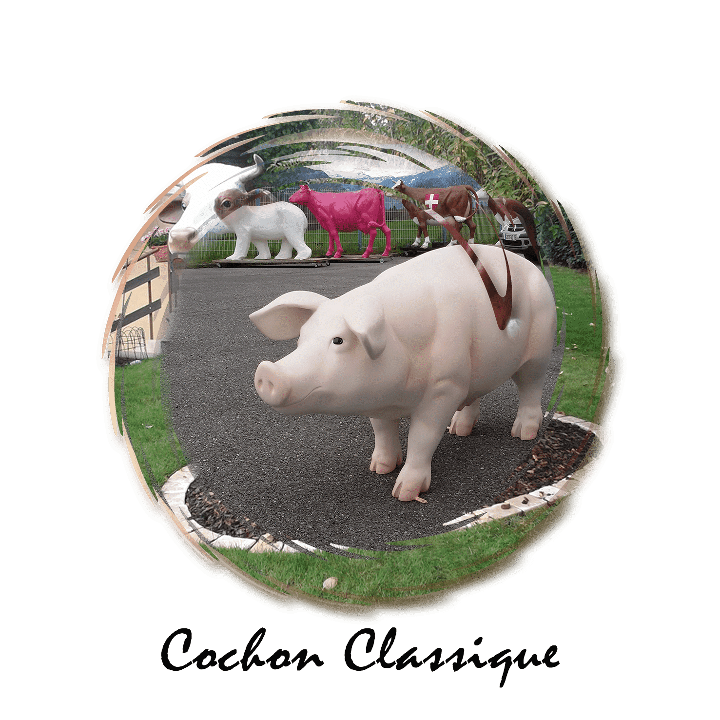 cochon classique