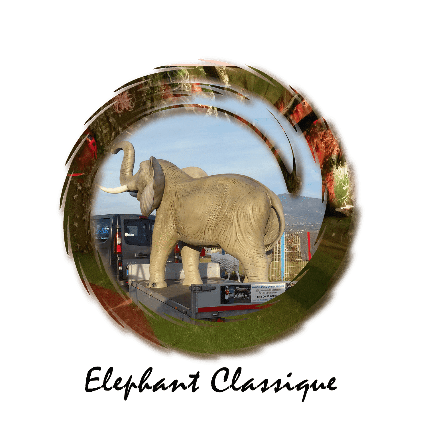 éléphant classique