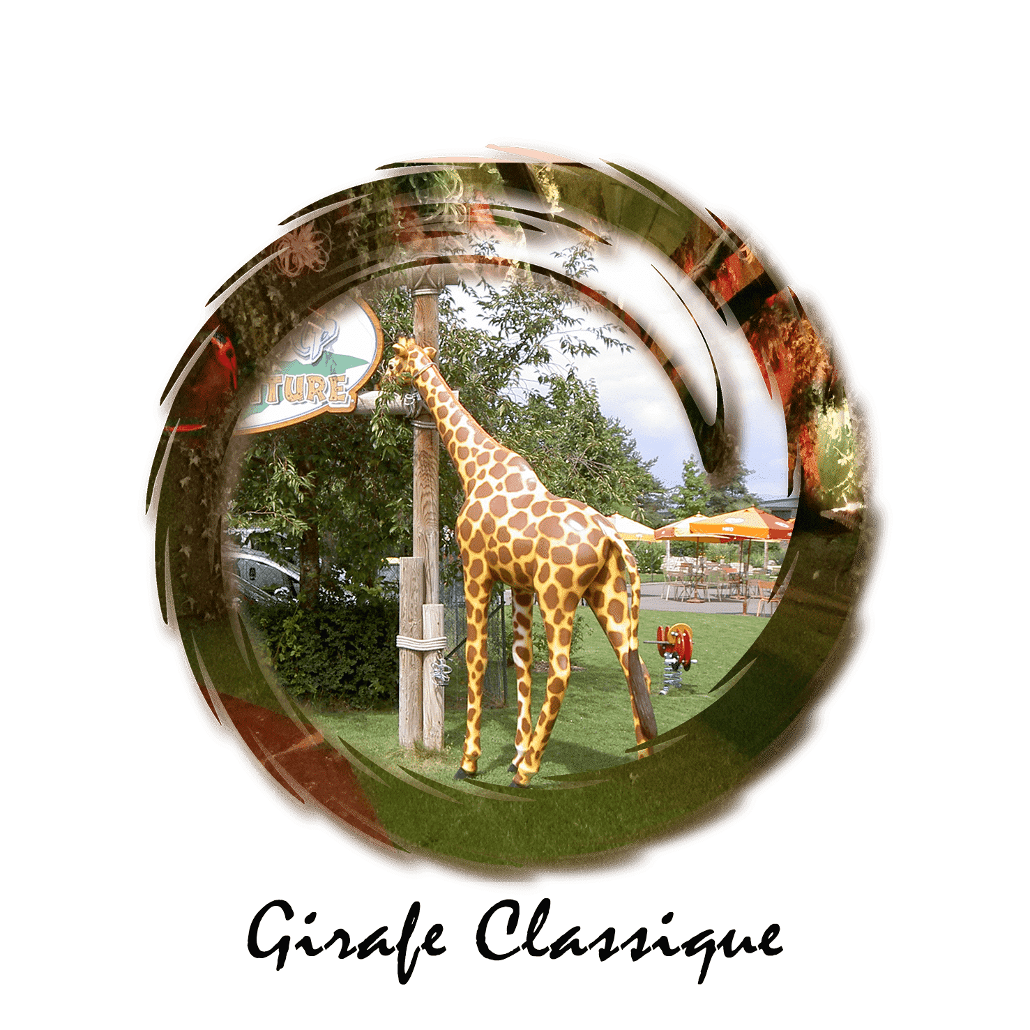 girafe classique