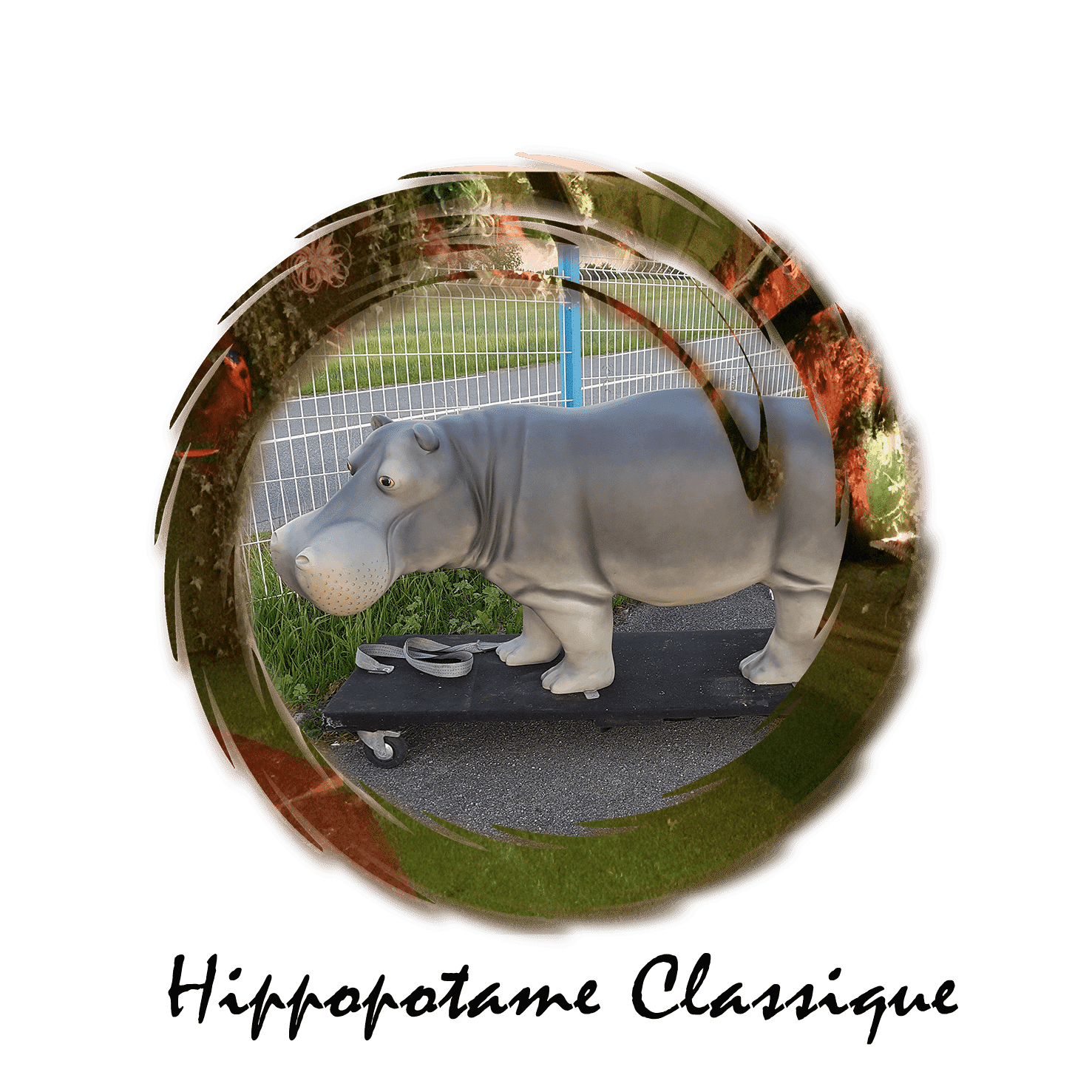 hippopotame classique