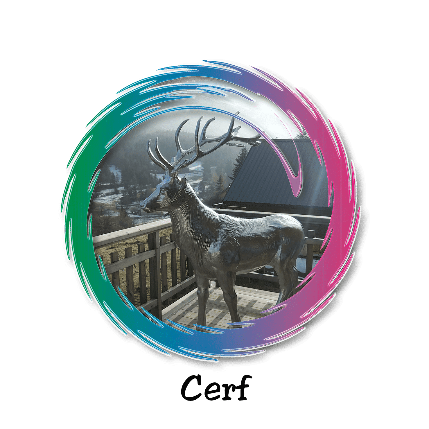 cerf design