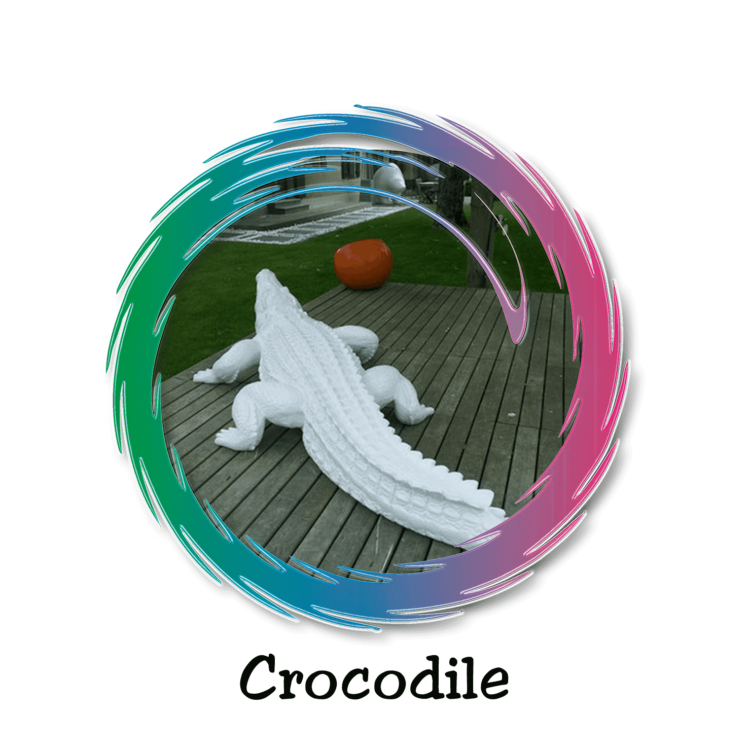 crocodile design