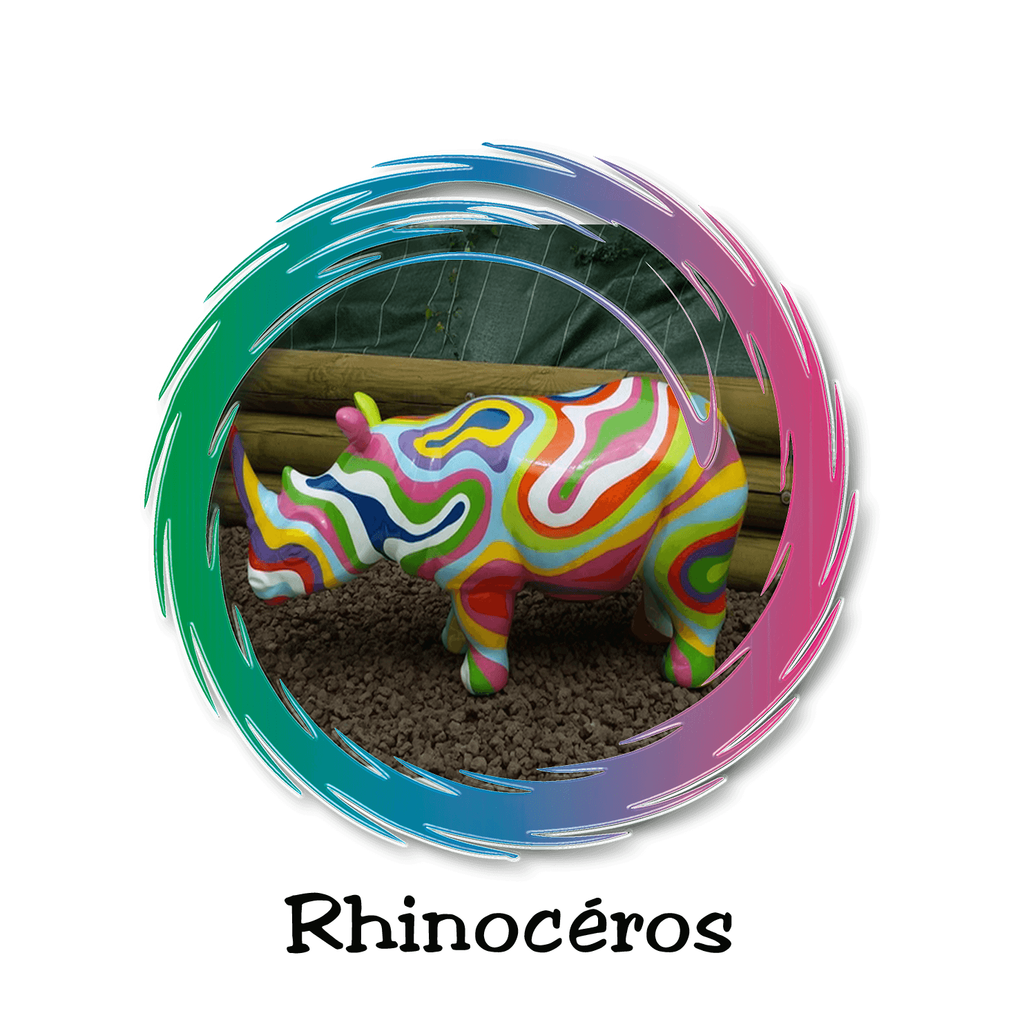 rhinocéros design