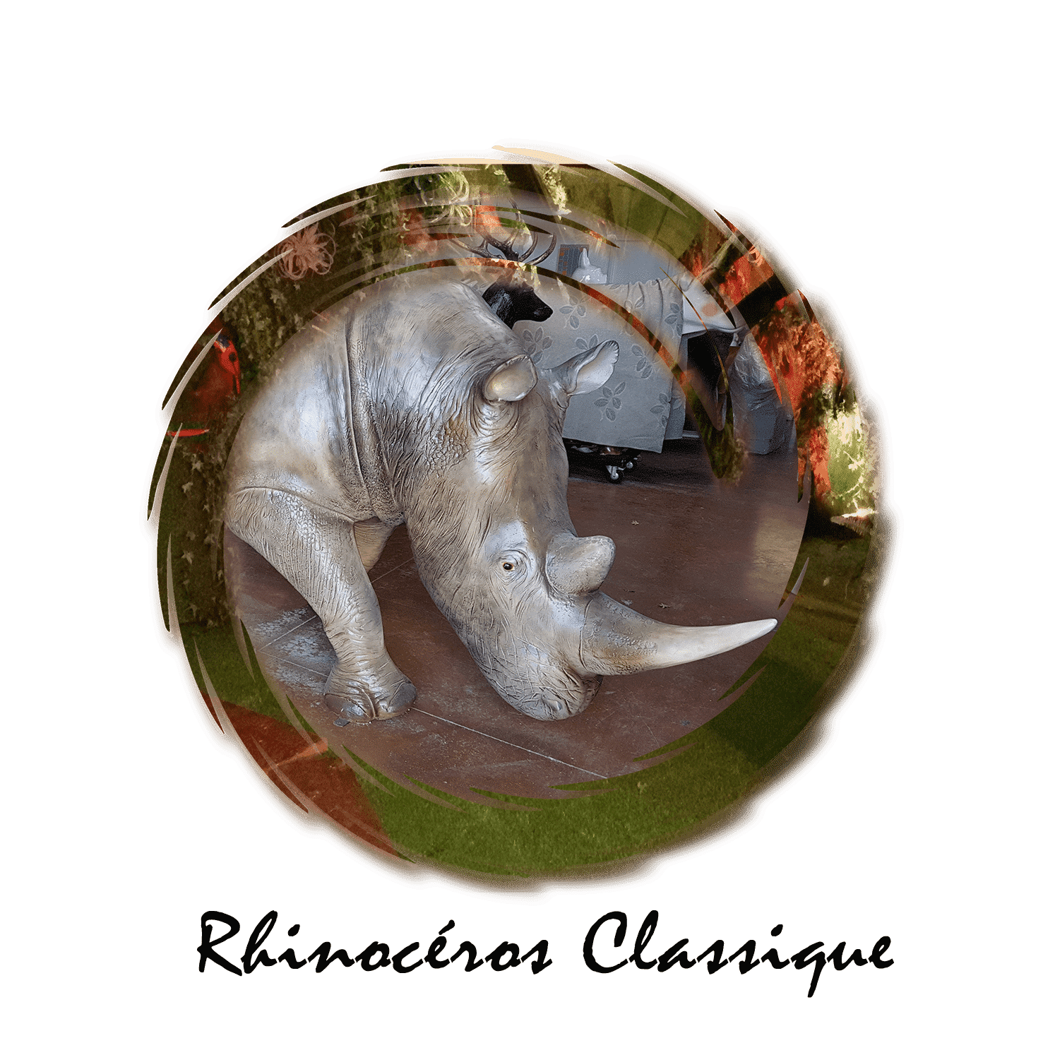 rhinocéros classique