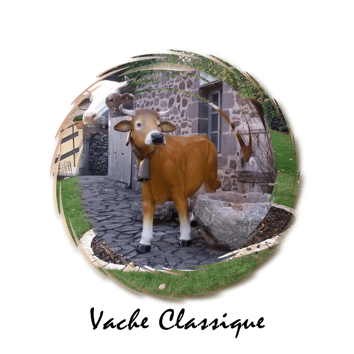 vache classique