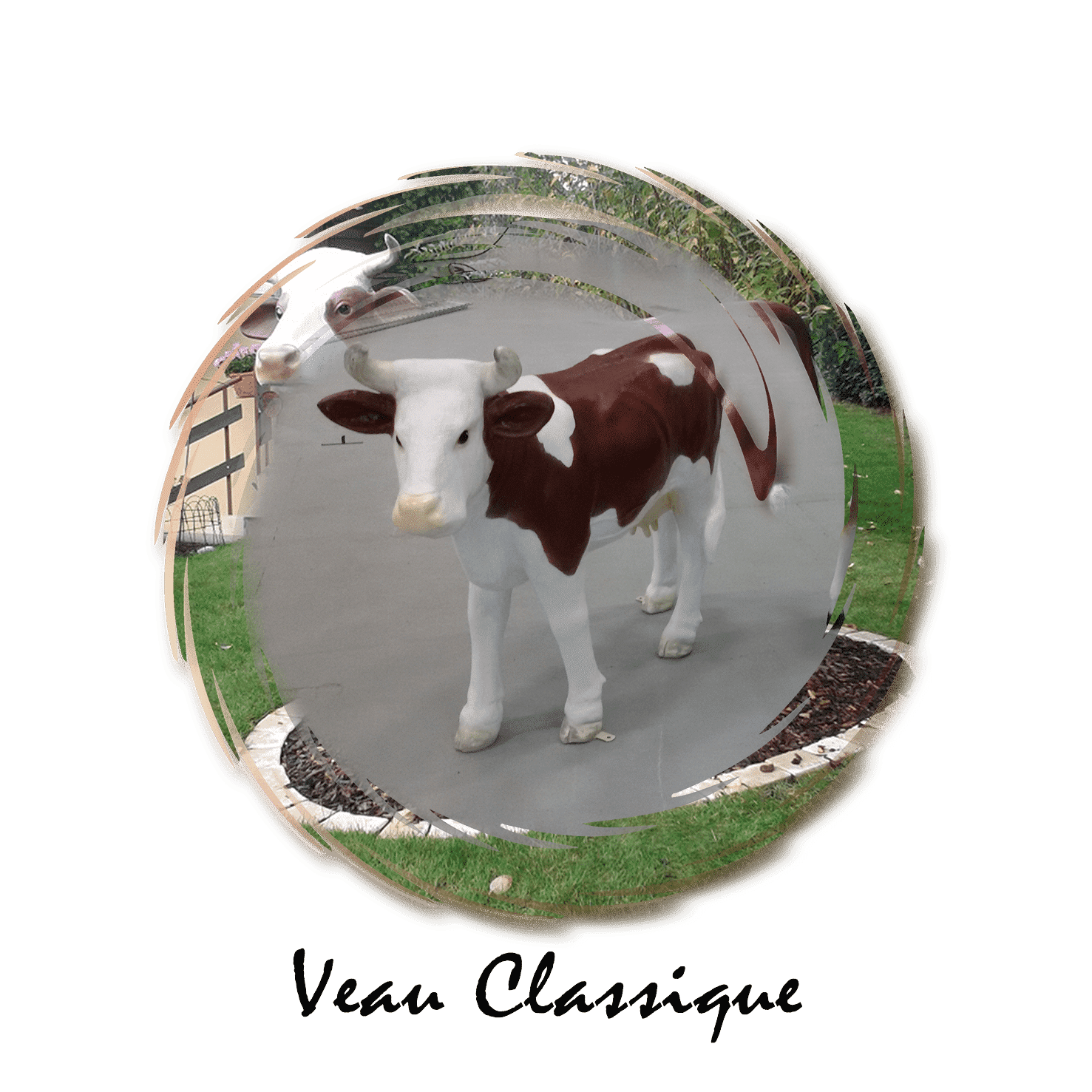 veau classique