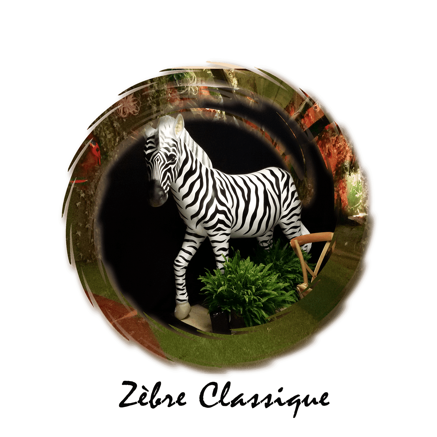 zebre classique