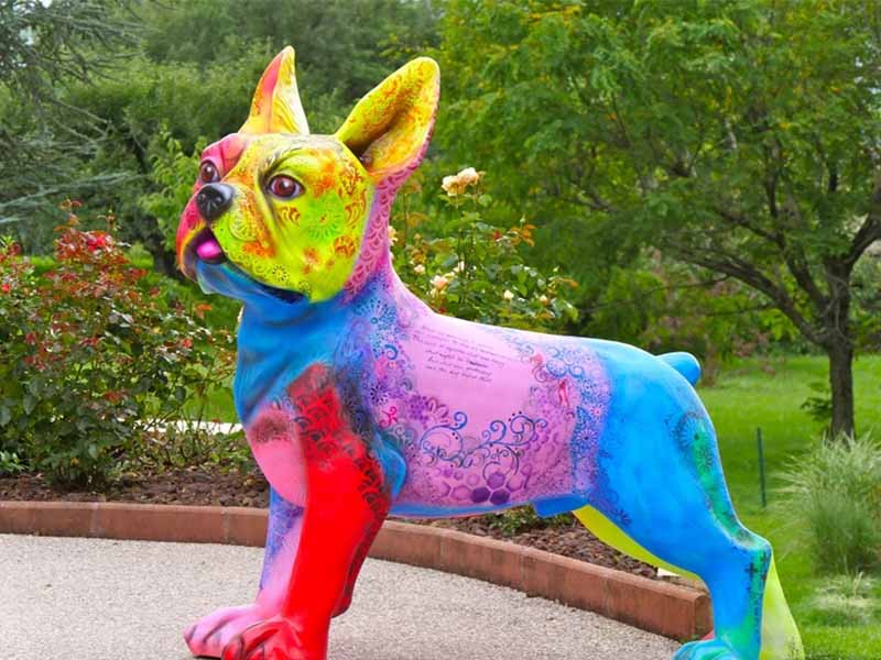 bouledogue xxl size pop art